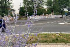 WhatsApp-Image-2022-06-06-at-09.10.53-15