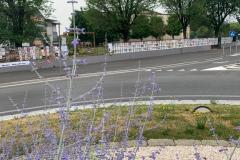 WhatsApp-Image-2022-06-06-at-09.10.53-18