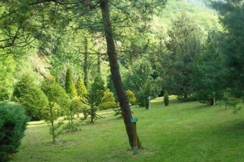 15 Aprile | Passeggiata nell’Orto Botanico di Ome 15 Aprile | Passeggiata nell’Orto Botanico di Ome