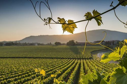 Torna a Giuno il “Franciacorta Summer Festival”, tra eccellenze del territorio e atmosfere glam