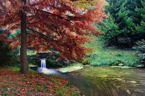 “Restate nel Bosco”, otto appuntamenti di yoga e relax al Bosco di Ome