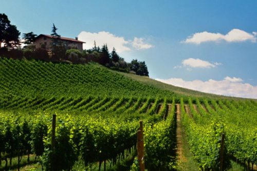 Franciacorta, arriva l’annata 2018