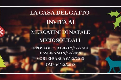 Mercatini di Natale: in Franciacorta le bancarelle de “La Casa del Gatto”
