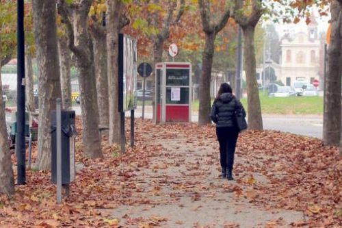 Paderno: istituzione divieto di sosta per interventi raccolta foglie: elenco delle vie