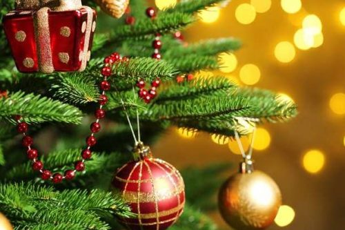 16 Dicembre | “Festa di Natale” con l’associazione “Gioco di Mani” e le associazioni sportive 16 Dicembre | “Festa di Natale” con l’associazione “Gioco di Mani” e le associazioni sportive
