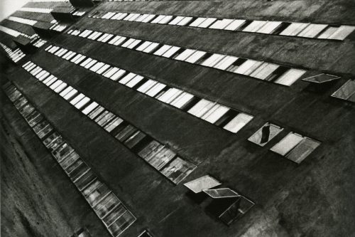 6 Dicembre | A “Telemetro” Renato Tagazzini presenta le opere di Rodchenko