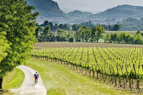 Rovato e Cazzago aderiscono a “Terre di Franciacorta”
