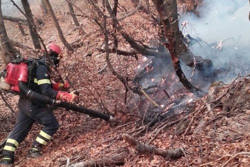 In Lombardia dichiarato l’alto rischio di incendio boschivo per l’inverno 2019