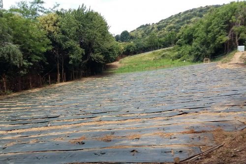 La piantagione di cannabis al monte Quarone “leva le reti”
