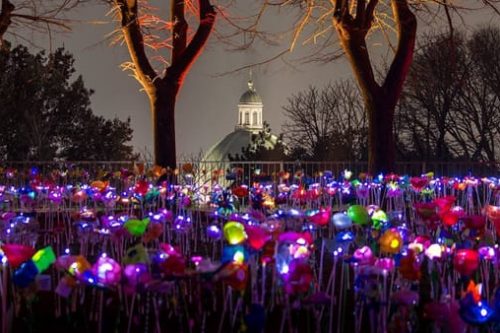 Brescia, si accende con il CidneON Brescia, si accende con il CidneON