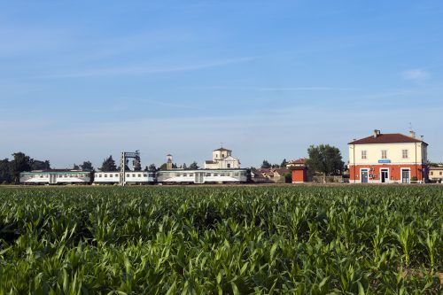 Nuovi olmi per via Roma | Castegnato Nuovi olmi per via Roma | Castegnato