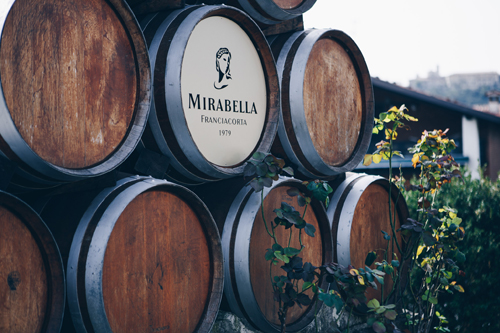 Mirabella: la cantina compie 40 anni e riscopre il Pinot Bianco