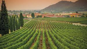 Franciacorta vs Francia: la Sfida allo Champagne del Nostro Bollicine (e Non Solo)