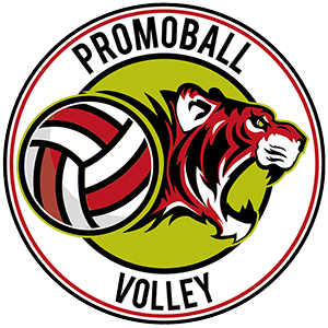 Gussago e Promoball: Intesa Raggiunta e Trasferimento Imminente Gussago e Promoball: Intesa Raggiunta e Trasferimento Imminente