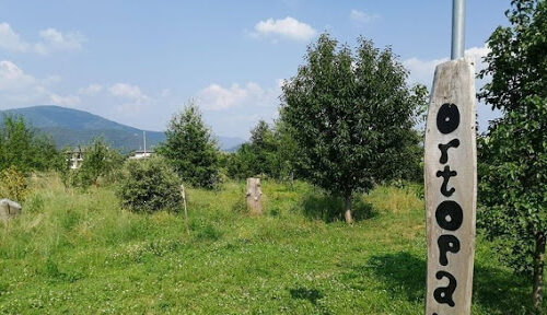 Caso Ortoparco: si Trova una Chiusa col Rinnovo Caso Ortoparco: si Trova una Chiusa col Rinnovo