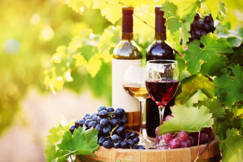 Settore vitivinicolo in crisi: perdite oltre il 20% Settore vitivinicolo in crisi: perdite oltre il 20%