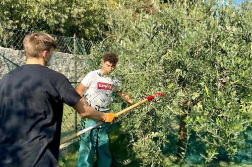 A Rodengo Saiano i frati francescani preparano i giovani alla qualità della nostra terra