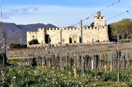 Green Planner Magazine: Franciacorta e Mirabella connubio di qualità e innovazione