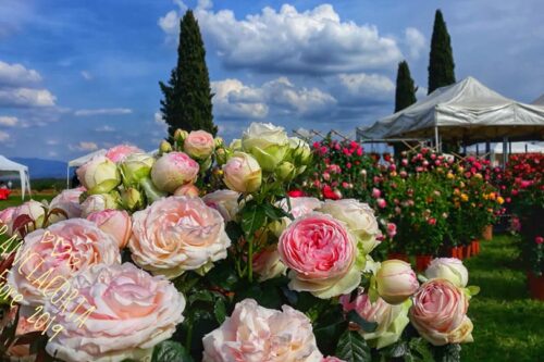 Franciacorta ‘In Fiore’ come non mai