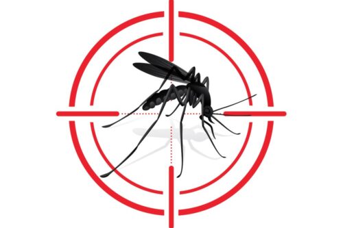 Passirano: distribuzione gratuita del kit anti-zanzare