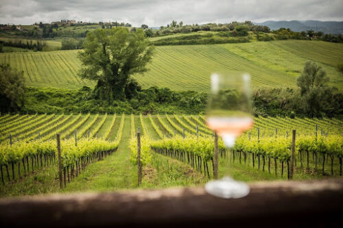 Franciacorta: tornano le ‘Cantine Aperte’