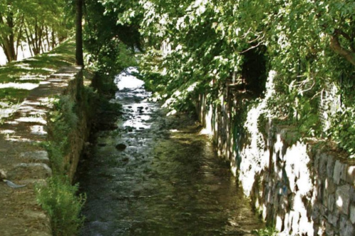 Fiumi sicuri: pulite le sponde del torrente La Canale Fiumi sicuri: pulite le sponde del torrente La Canale