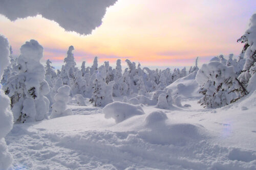 Viaggi organizzati sulla neve: l’idea per passare vacanze splendide