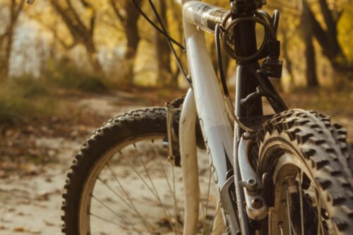 Io vado in bici: “premio” per i lavoratori green a Gussago