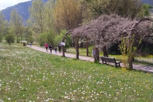 Una domenica in cammino: a Padergnone Salute, Sport e Solidarietà insieme
