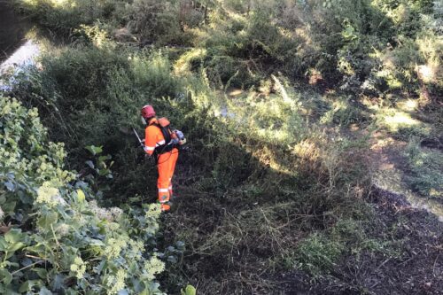 Comune di Rodengo Saiano al lavoro per il verde pubblico Comune di Rodengo Saiano al lavoro per il verde pubblico