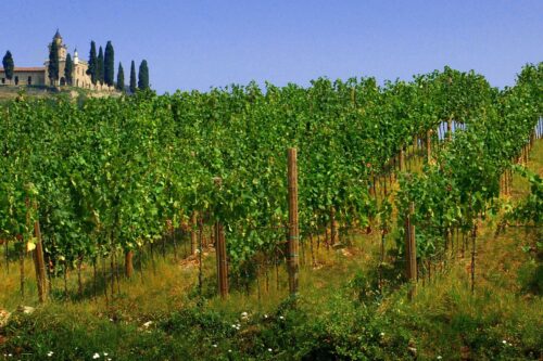 Franciacorta in 3d: il progetto nato dalla tecnologia di CarraroLab