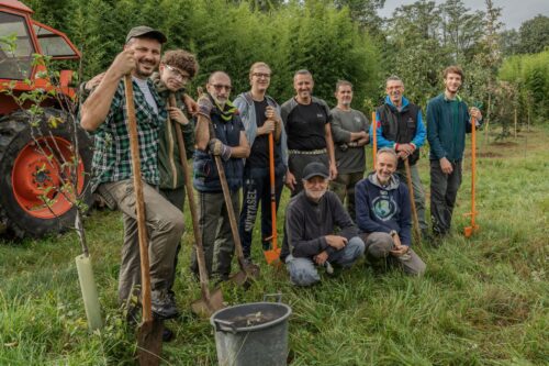 Al Bosco Futuro di Paderno piantumazione di 14 nuovi alberi