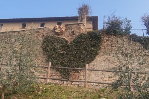 La Santissima regina dei social con il nuovo cuore di edera
