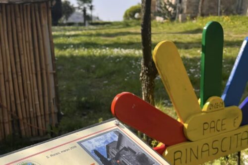 L’albero di kaki della Pace a Gussago da 15 anni: un simbolo di resilienza e speranza