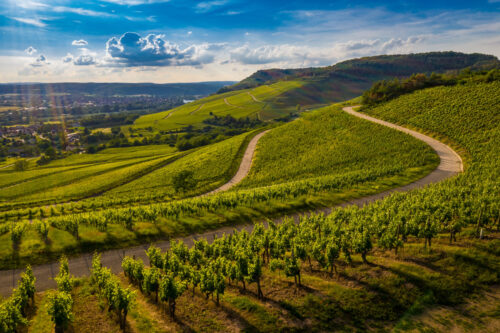 Consorzio Franciacorta: una mappa per la salvaguardia del territorio