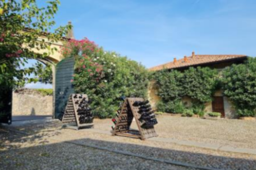 Auto storiche in Franciacorta: un’elegante domenica tra vigne e motori