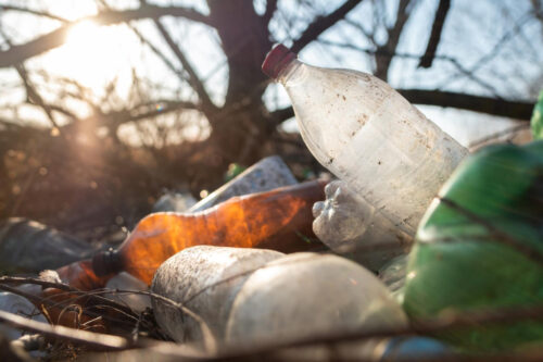 Discarica a cielo aperto sulla SP 19