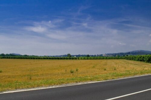 Allarme ambientale a Passirano: nuovi vigneti vicino alla pericolosa discarica Vallosa