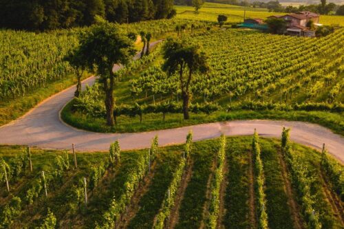 Venticinque anni di successi e sfide per il Festival Franciacorta in Cantina