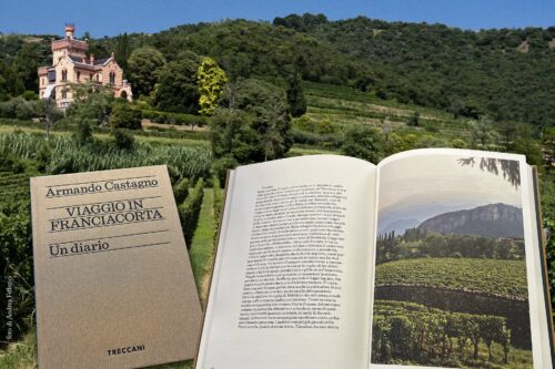 “Viaggio in Franciacorta”: opera completa tra storia, vino e paesaggi
