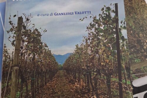 Tra vigne e nebbie di oblio: la storia di Bianca Rosa Archetti di Paderno diventa memoria condivisa