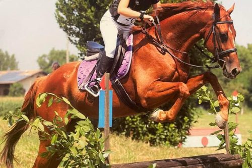 Dalla Franciacorta ai campi nazionali: stagione d’oro per la giovane amazzone Gloria Aliprandi